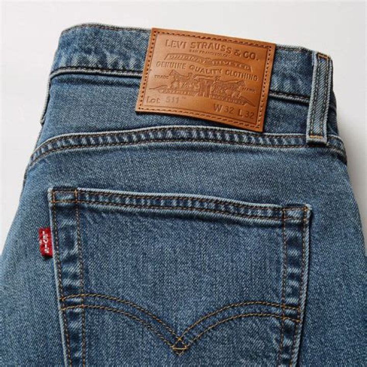What is Levi's dream?