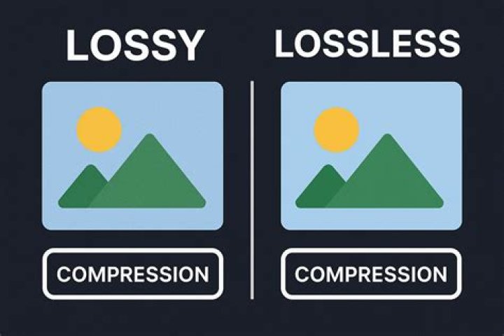 What is lossless compression quizlet?
