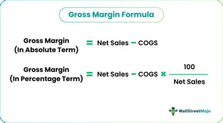 What is meant by gross margin?