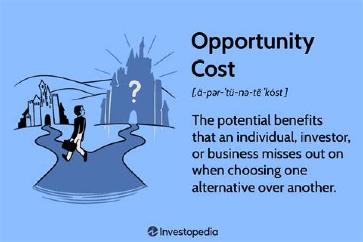 What is meant by opportunity cost?