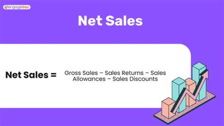 What is net net sales?