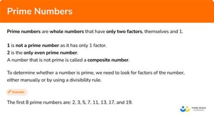 What is not a prime number that has only one factor?