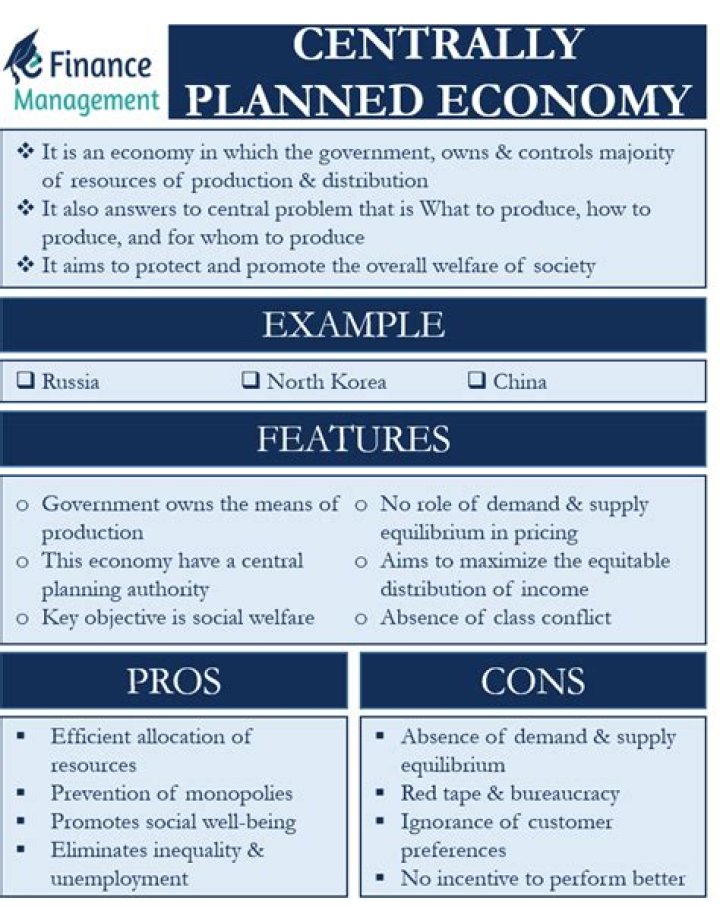 What is planned economy and its features?