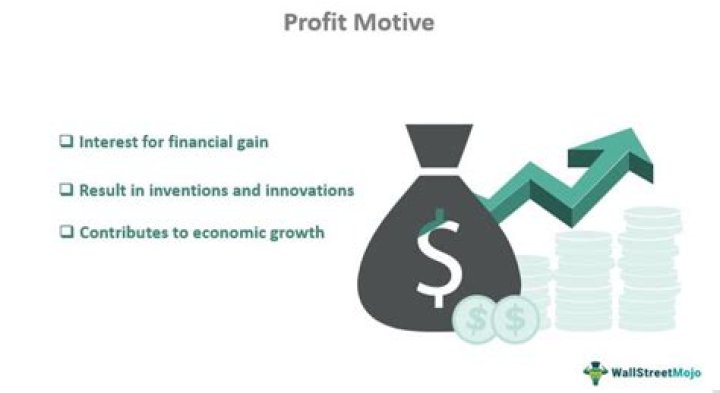 What is profit motive example?