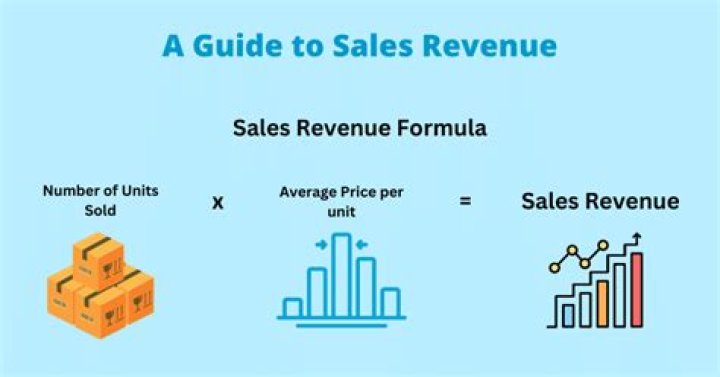 What is sales revenue example?
