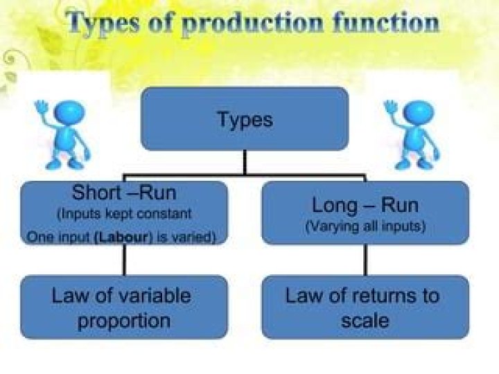 What is short-run and long run production function?