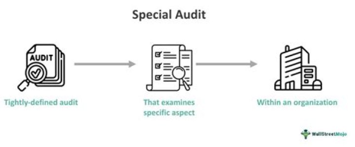 What is special audit in auditing?