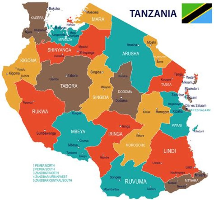 What is Tanzania main export?
