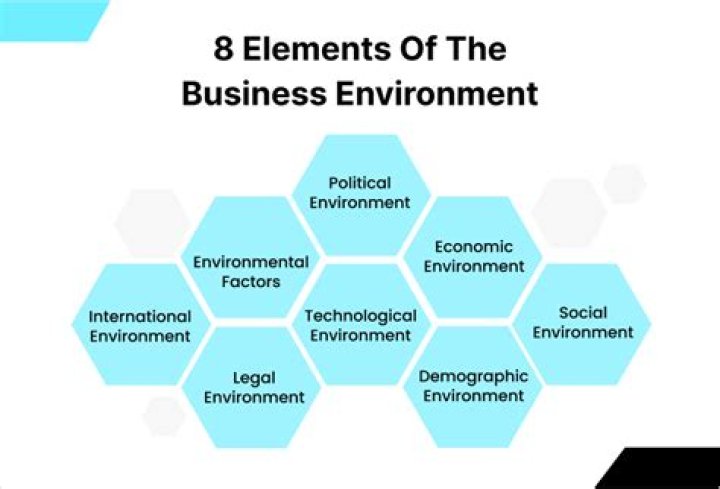 What is the business environment PDF?