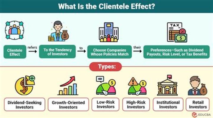 What is the clientele effect theory?