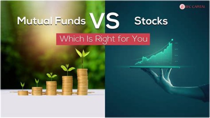 What is the cost basis for a mutual fund?