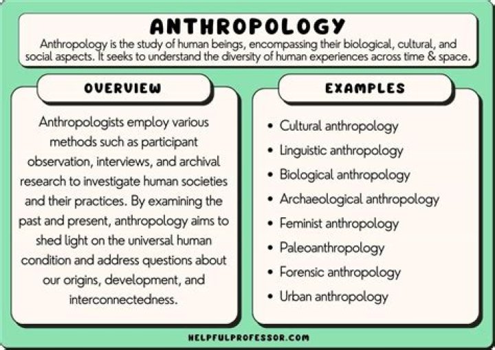 What is the difference between anthropology and economic?