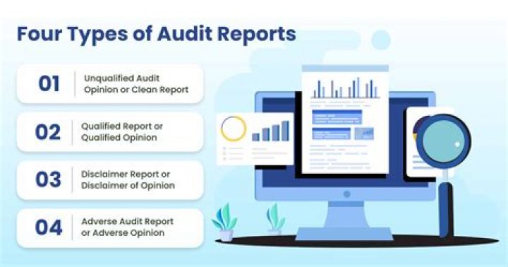 What is the difference between audited reports and non audited reports?