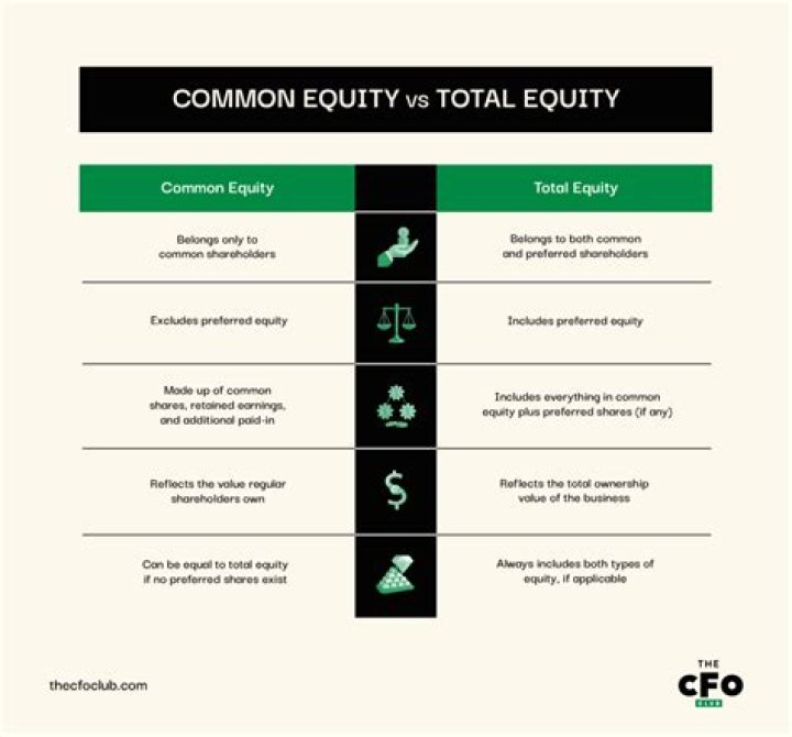 What is the difference between common equity and total equity?