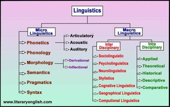 What is the difference between micro-linguistics and macro-linguistics provide definitions and examples?