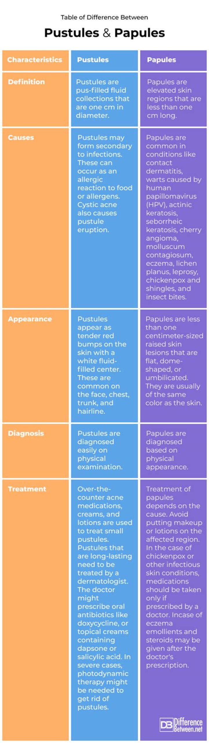 What is the difference between papules and pustules?