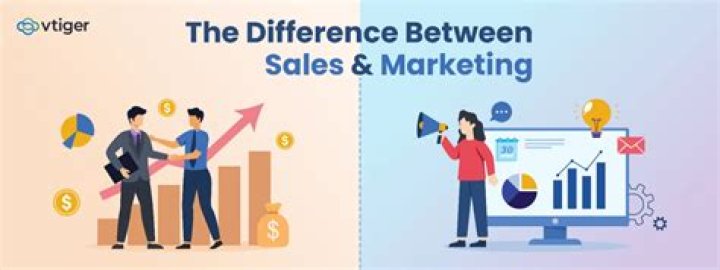 What is the difference between sales and services?