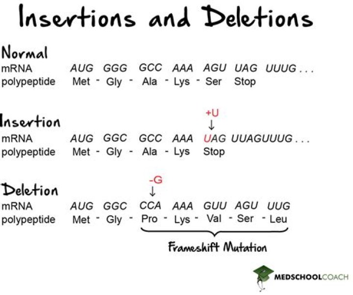What is the example of deletion?