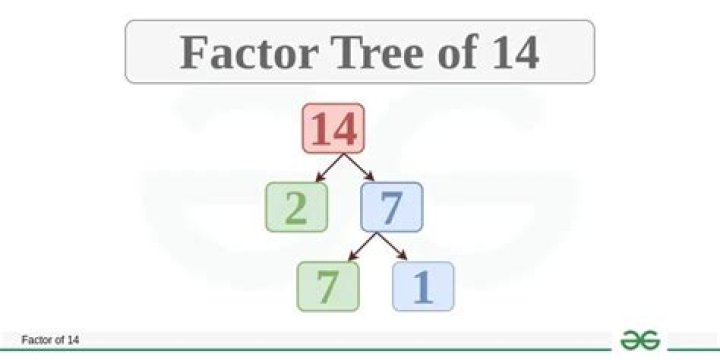 What is the factor tree for 14?
