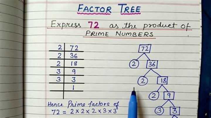 What is the factor tree for 175?