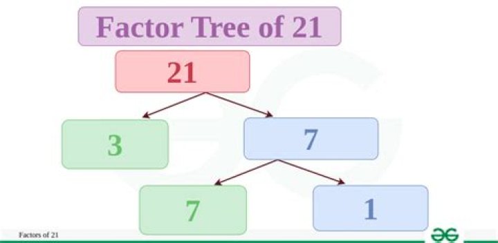 What is the factor tree for 212?