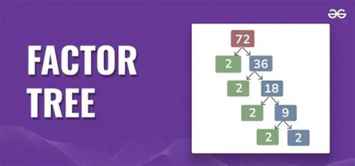 What is the factor tree for 294?