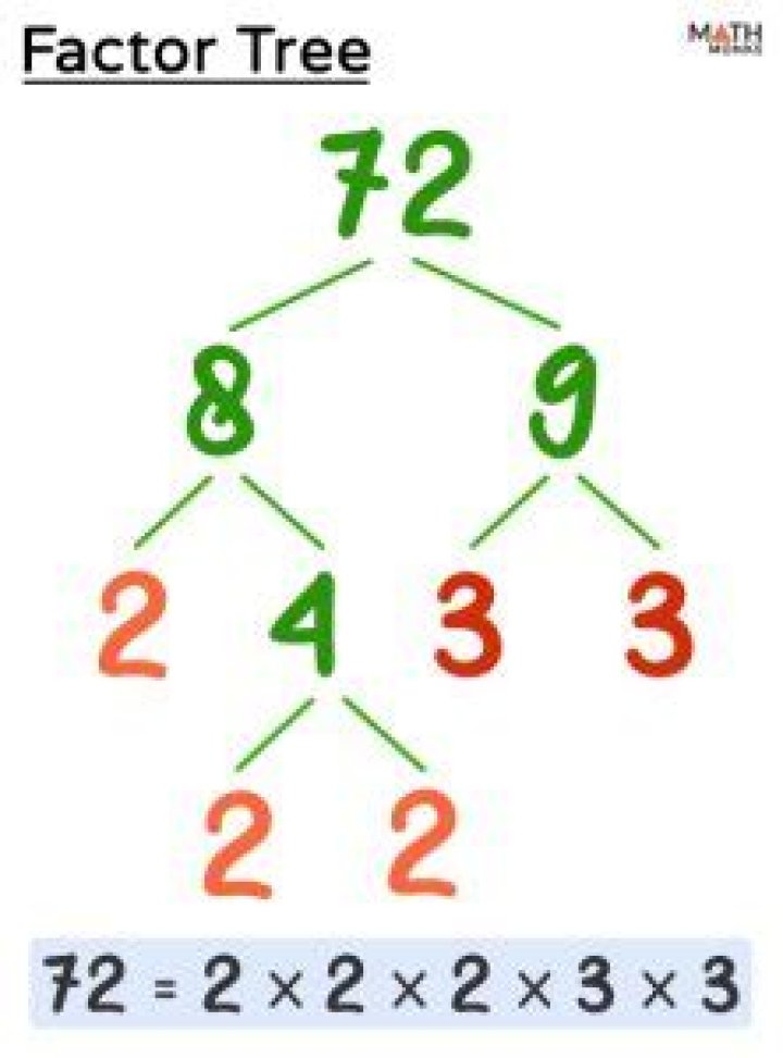 What is the factor tree for 77?