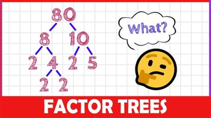 What is the factor tree for 98?