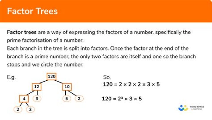 What is the factor tree of 25?