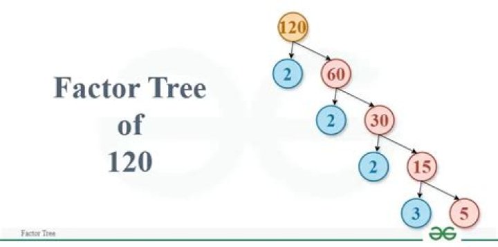 What is the factor tree of 420?