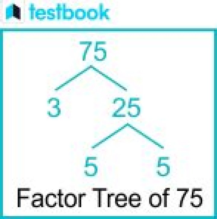 What is the factor tree of 75?