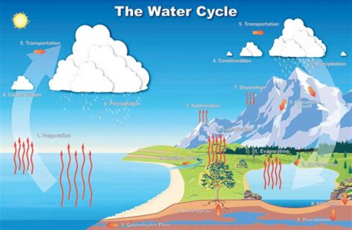 What is the final step in the water cycle?