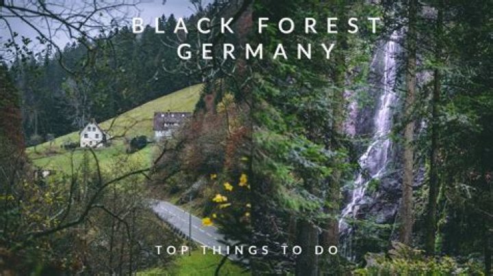 What is the largest forest in Germany?
