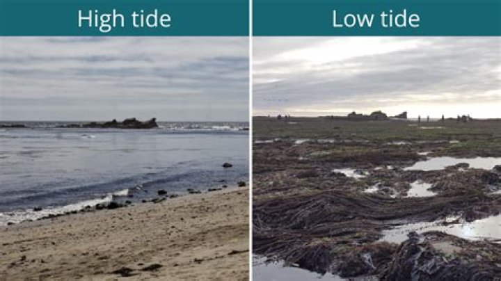 What is the lowest tide called?