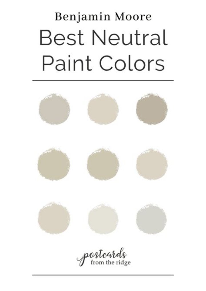 What is the most neutral Benjamin Moore gray?