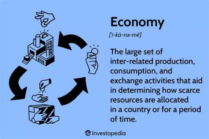 What is the need to economize resources?