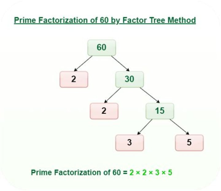 What is the prime factorization 660?