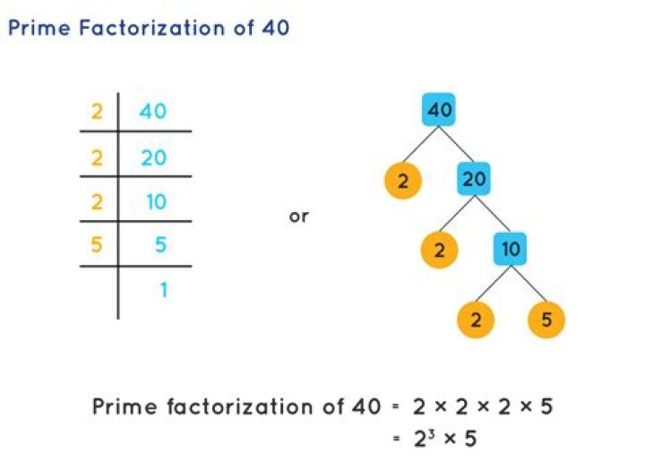 What is the prime factorization of 40 and 8?