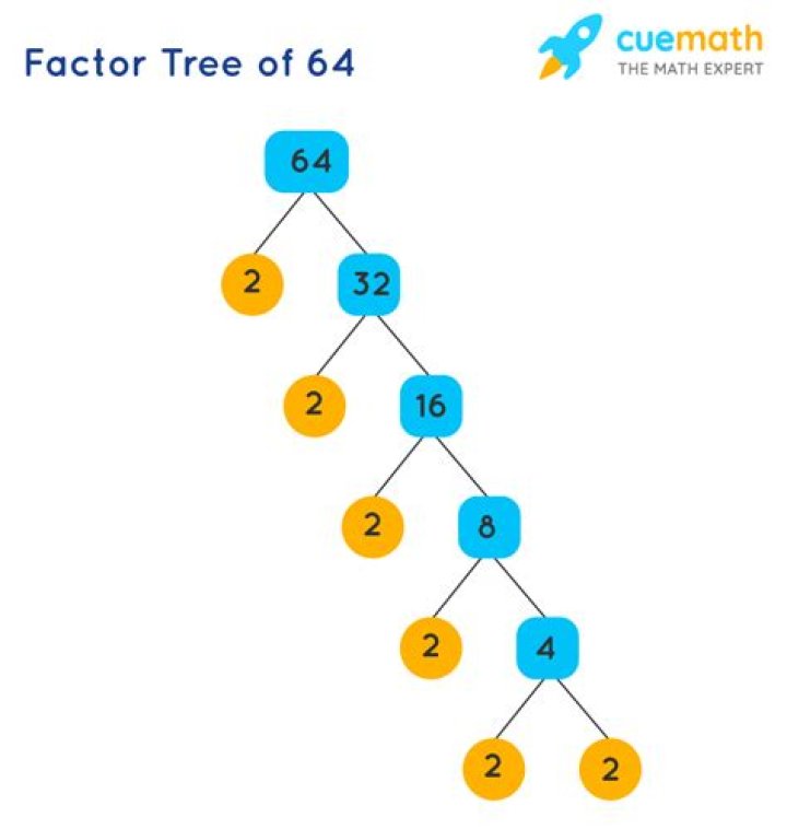 What is the prime factorization of 64?