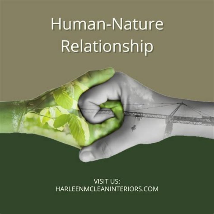 What is the relationship between human wants and resources?