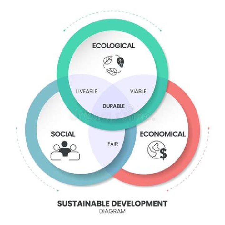What is the relationship between sustainable development and environment?