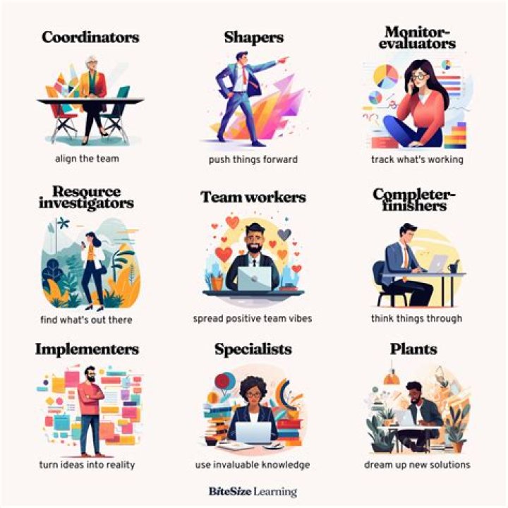 What is the role of a controller within an organization?