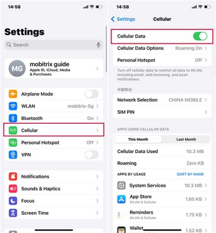 What is using all my data on my iPhone?