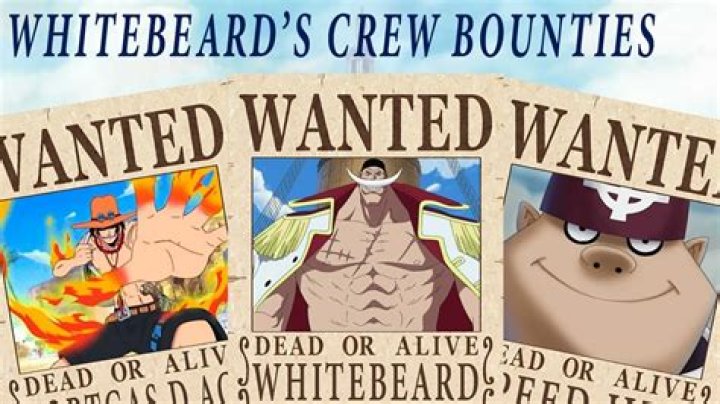 What is Whitebeards bounty?