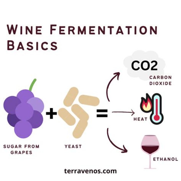 What is wine water?