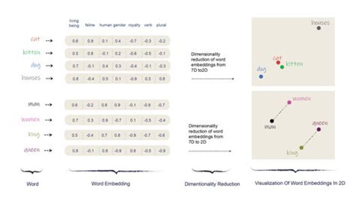 What is word vector in NLP?
