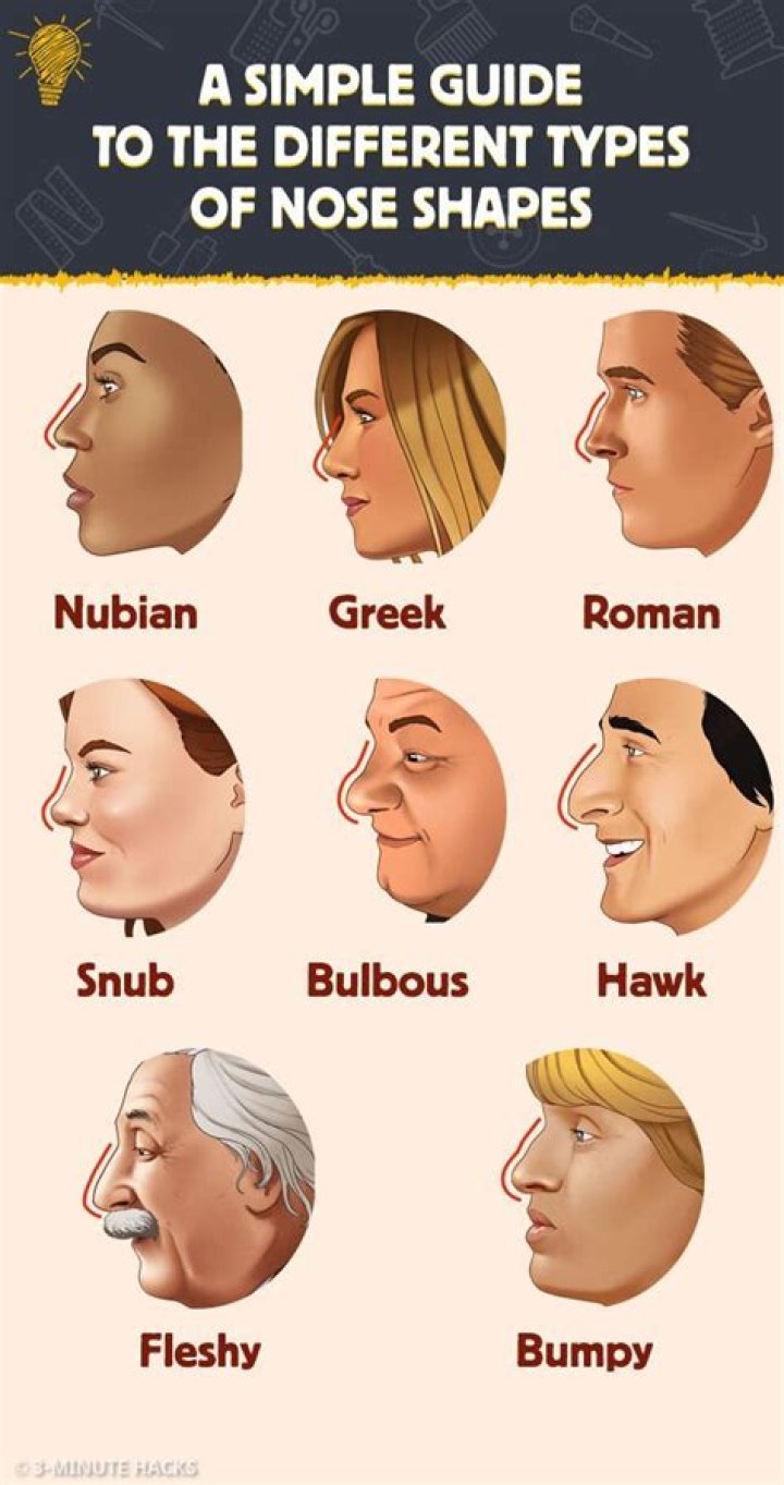 What nationalities have small noses?