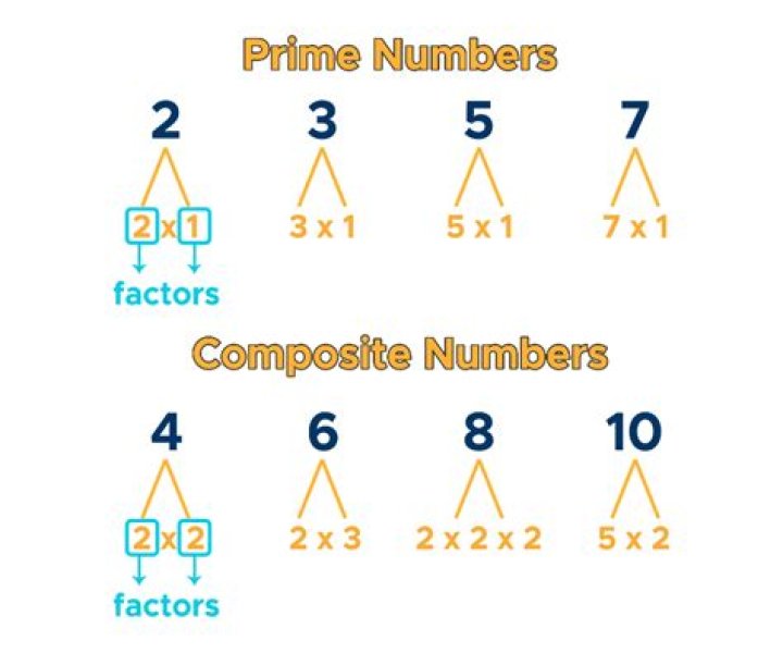 What numbers are prime factors?
