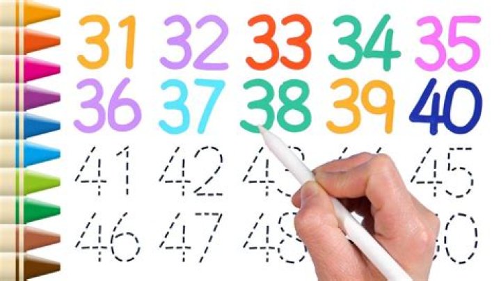 What numbers make up 504?