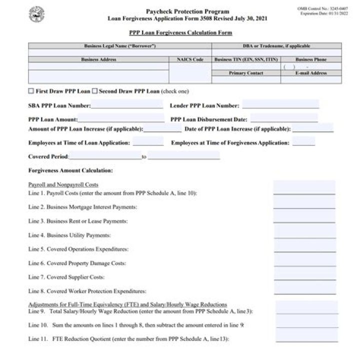 What should I put on PPP loan application?